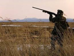 Смоленские браконьеры настреляли на миллион рублей