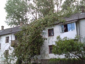 В области тяжелое дерево пробило крышу двухэтажки
