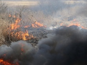 В Смоленской области начал действовать особый противопожарный режим