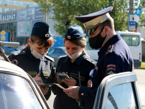 В Смоленске проходят "сплошные" проверки