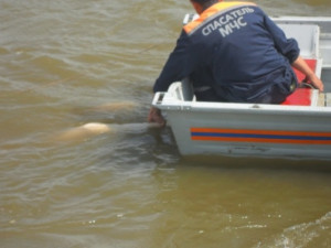 В Вяземском районе в озере утонул житель Москвы