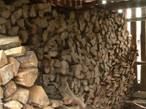 В лесничествах Смоленской области ведутся работы по заготовке древесины и дров для нужд населения