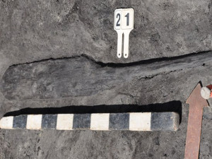 В Гнездове археологи раскопали корабль викингов