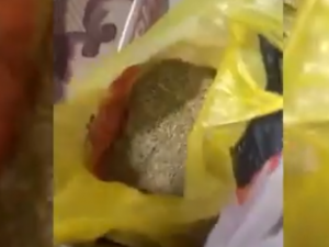 Видео: Полиция нашла у смолянина несколько мешков "травки"