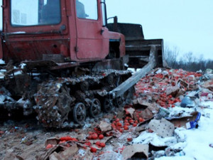 На полигоне уничтожили более 70 тонн овощей и фруктов