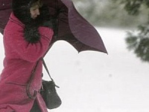 МЧС: 29 января в Смоленской области ожидается сильный ветер