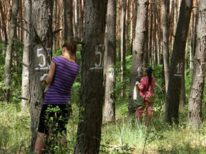 Национальный парк «Смоленское Поозерье» предлагает совместить приятное с полезным