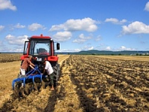 На поддержку сельского хозяйства Смоленская область получит свыше 80 млн. рублей