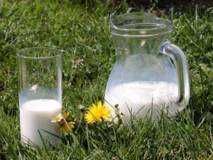 20 тонн молока из Витебска не пустили в Смоленскую область
