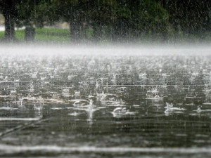 В Смоленске начался сезон дождей
