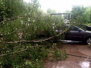 Несколько автомобилей повреждены в Смоленске упавшими деревьями