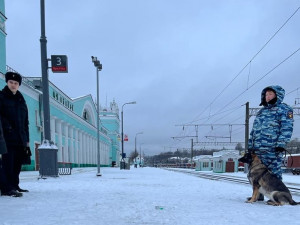 В Смоленске с поезда сняли неадекватного пассажира с наркотическими веществами