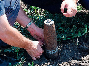 В Смоленской области нашли более 20 снарядов