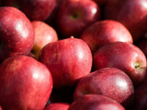 Прибывшие из Белоруссии груши оказались яблоками