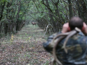 В Смоленской области браконьер угрожал егерю ножом