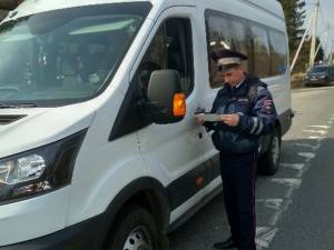 В Смоленске неадекват брызнул в лицо водителю маршрутки из баллончика