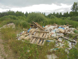 В Смоленске с начала текущего года нашли 31 свалку бытовых отходов