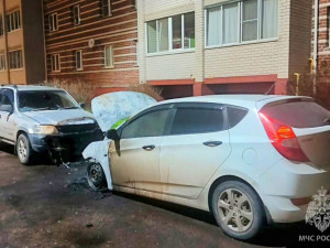 Стали известны подробности автомобильного пожара в Соловьиной роще