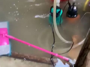 Смоленскую ветеринарную клинику в разгар рабочего дня затопило