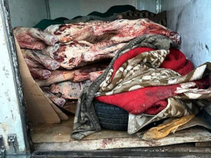 В Смоленскую область пытались ввезти более 3 тонн мяса и субпродуктов без документов