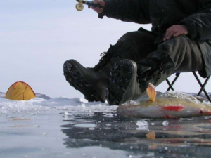 Смоленских рыбаков предупредили об опасности выхода на лед во время оттепели