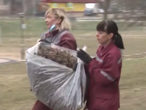 Видео: Тщательность уборки дворов управляющими компаниями будут проверять смоленские власти