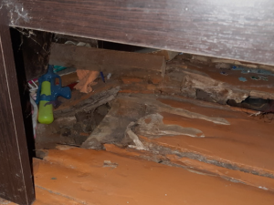 В Смоленске чиновники не могут отремонтировать муниципальное жилье (фото)