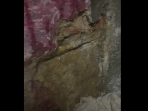 В подвале дома на улице Конёнкова текут реки (видео)