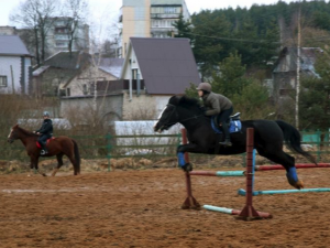 В Дорогобуже спасли секцию конного спорта