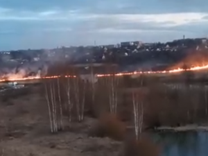 В Смоленской области продолжают гореть поля (видео)