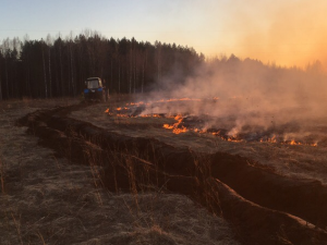 Почти 3 000 гектаров земли выгорело в Смоленской области