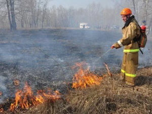 Огнеборцы за сутки 58 раз выезжали на тушение горящей травы