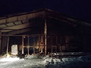 В Смоленской области сгорели здания деревообрабатывающих производств (фото)