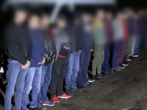 В Смоленской области задержаны более 20 нелегалов