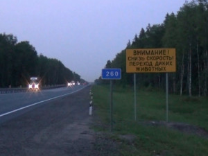 На трассе "Москва — Минск" под Смоленском построят первый экодук