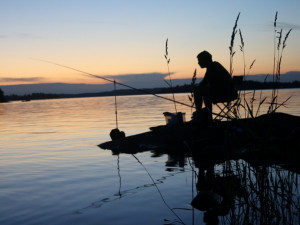 На Смоленщине введено ограничение на ловлю рыбы