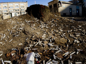 В Смоленске за зданием районной администрации нашли «кладбище» окурков