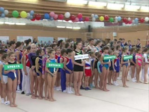 В Смоленске прошло областное первенство по спортивной гимнастике