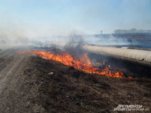 Жители Смоленщины подожгли 60 гектаров травы