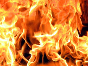 В Смоленской области сгорели женщина и двое детей