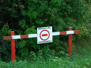 Власти ограничили пребывание граждан в лесах Смоленской области