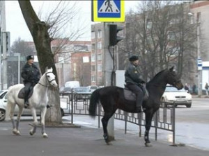 За порядком в Смоленске будет следить конная полиция