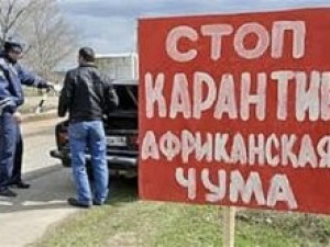 В трёх районах Смоленской области установили карантинные посты